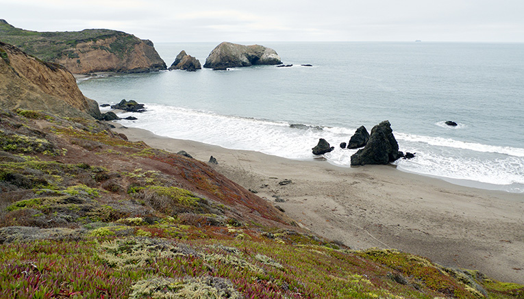 Wcai-california-walking-6